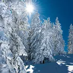 Alpenhotel Denninglehen מלון 3*