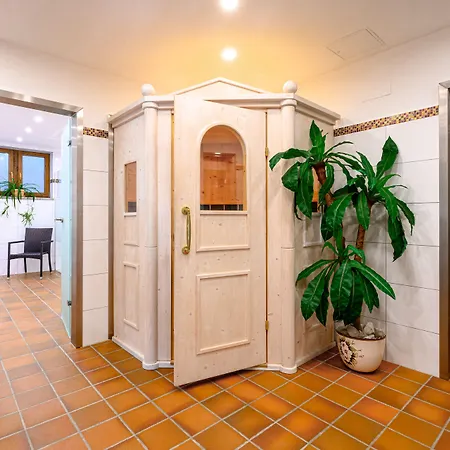 Alpenhotel Denninglehen Hotel 3*