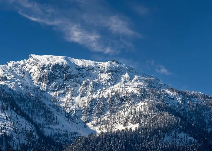 Hotel Alpenhotel Denninglehen 3*
